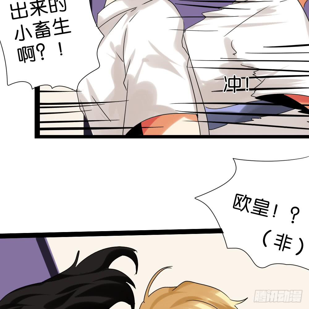 第二十八话：互补的人与猫？-第29话