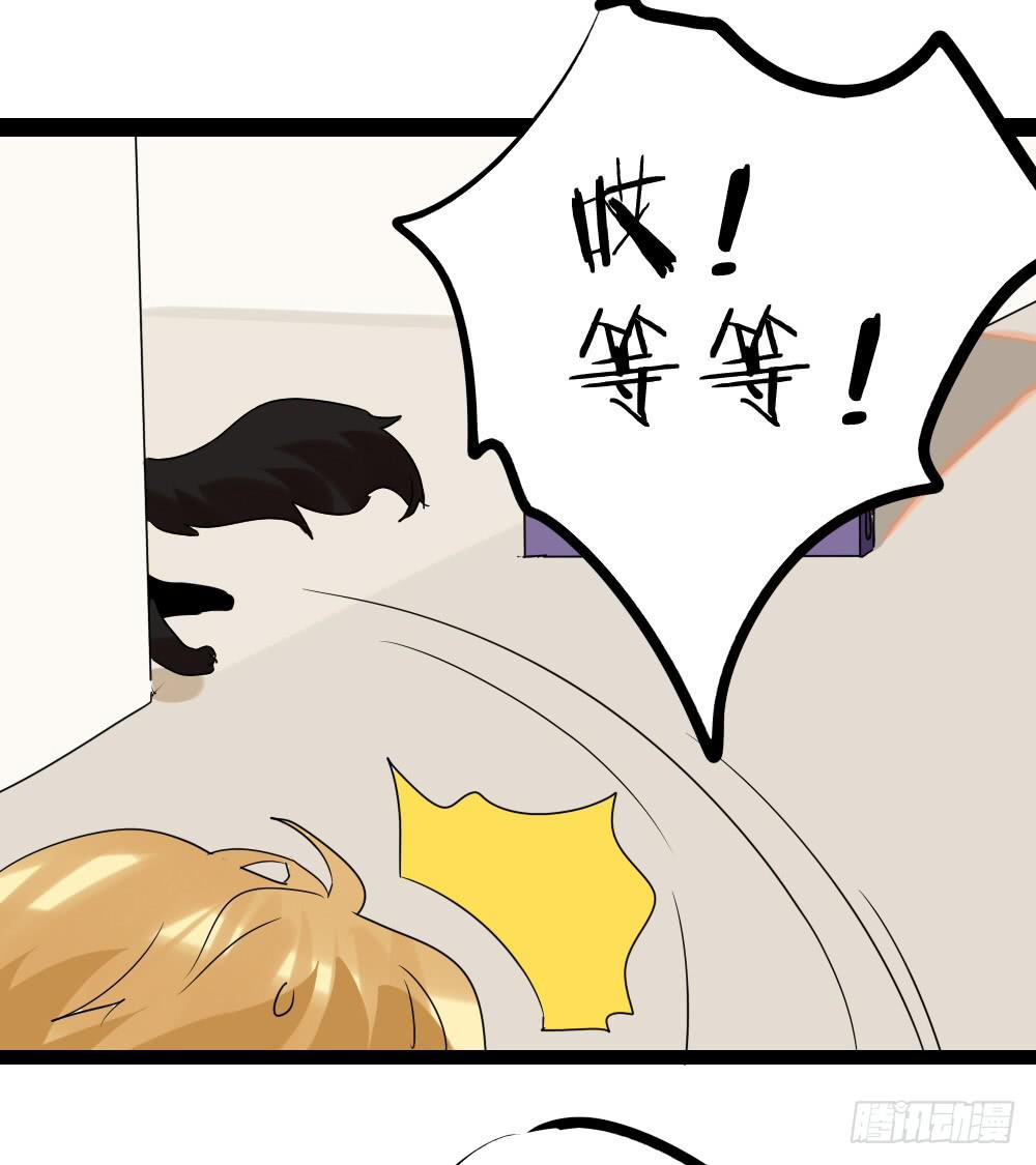 第二十八话：互补的人与猫？-第29话