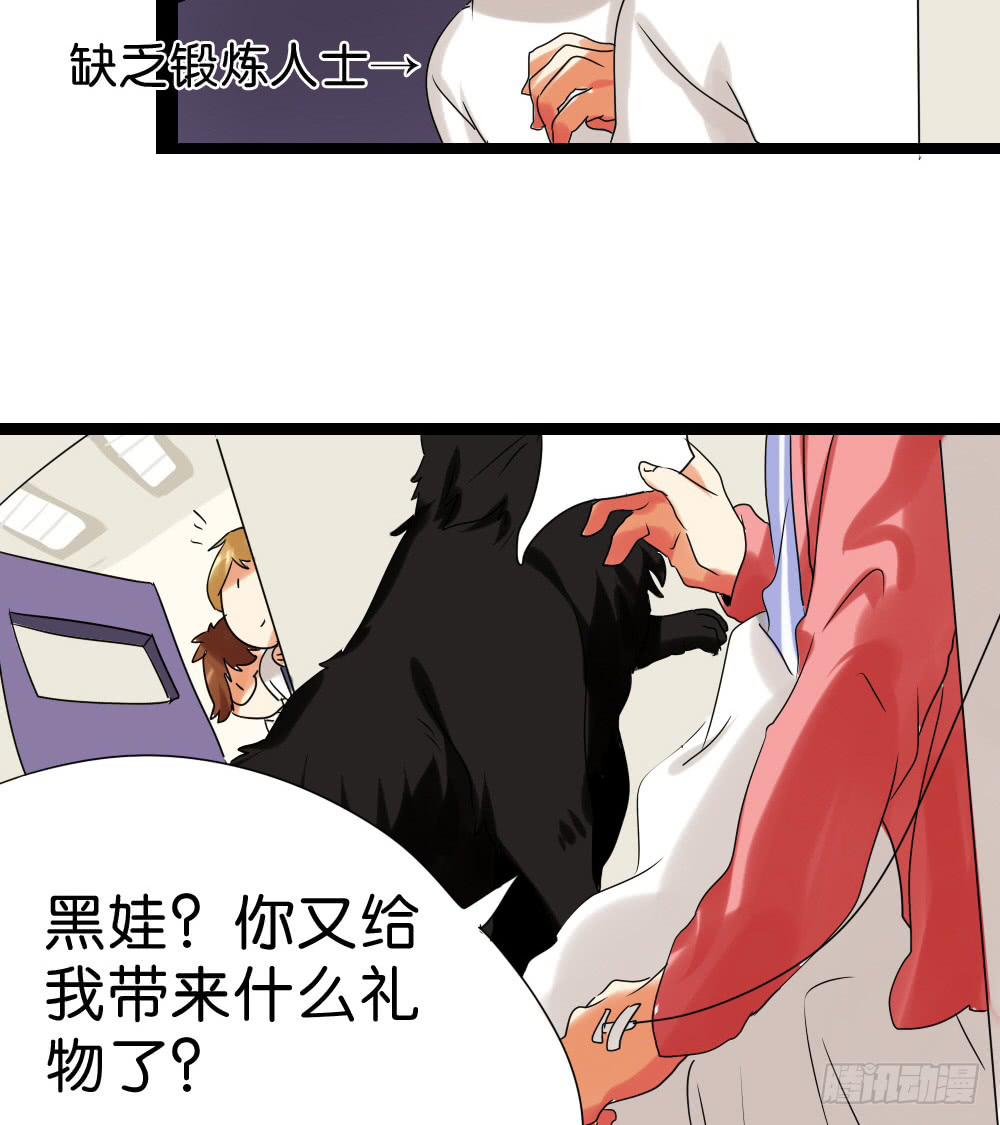 第二十八话：互补的人与猫？-第29话