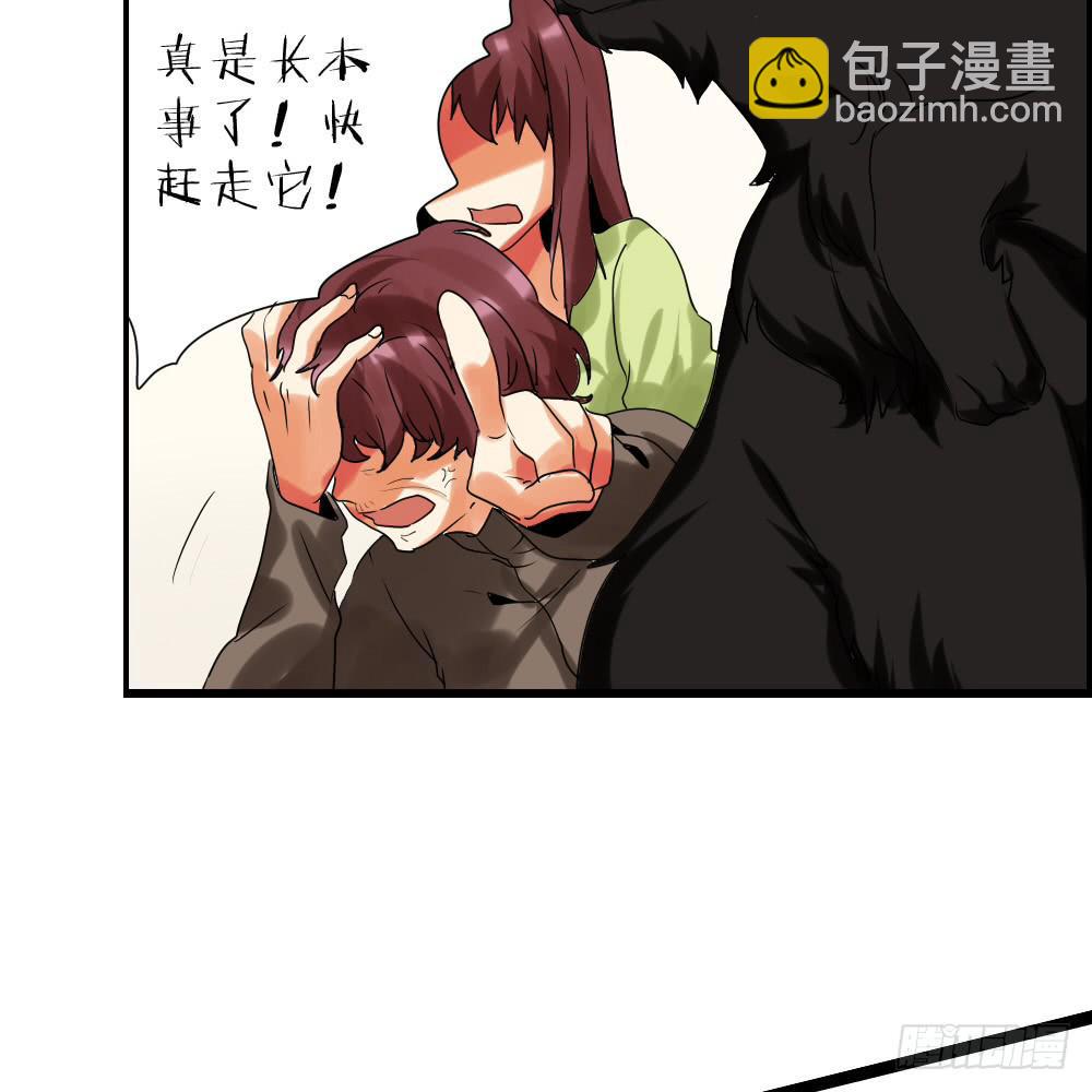 第二十八话：互补的人与猫？-第29话