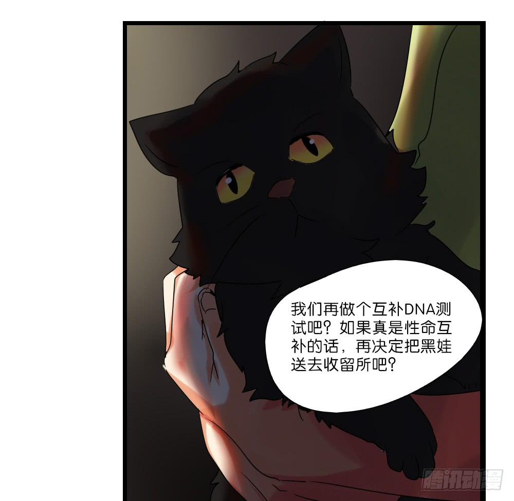 第三十二话：黑娃的真相(1/2)-第33话