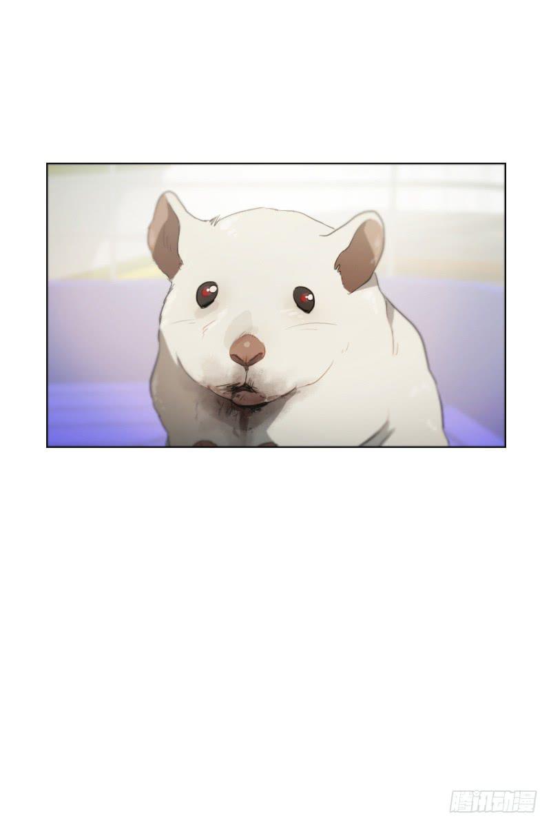 第三十五话下-第71话