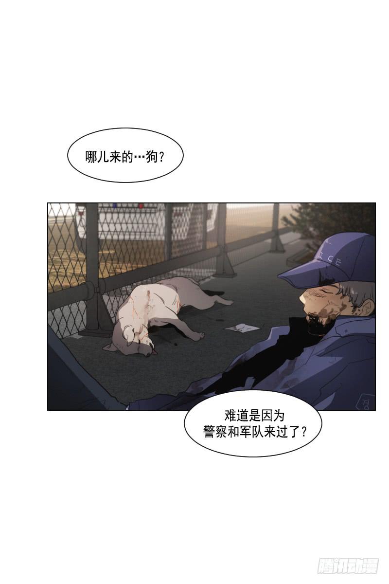 第三十九话下-第79话