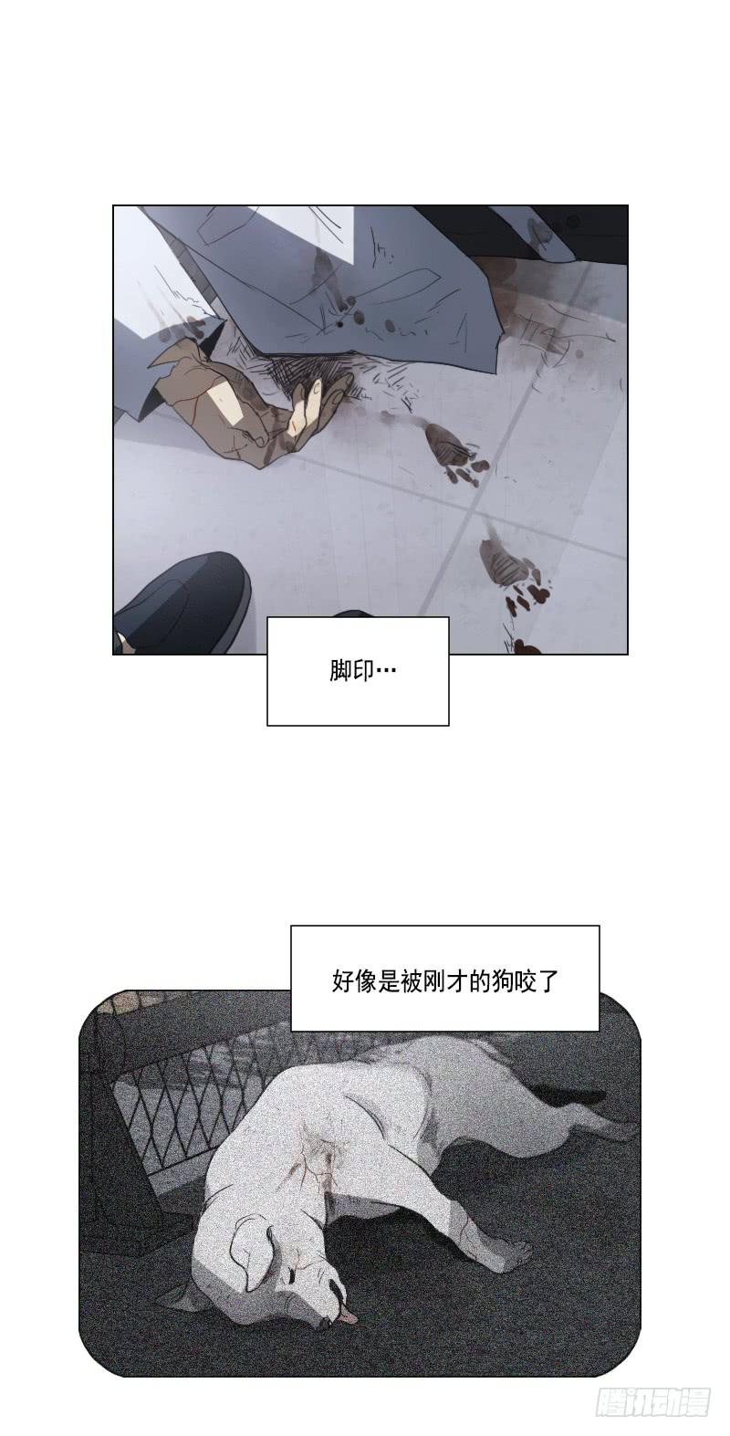 第三十九话下-第79话