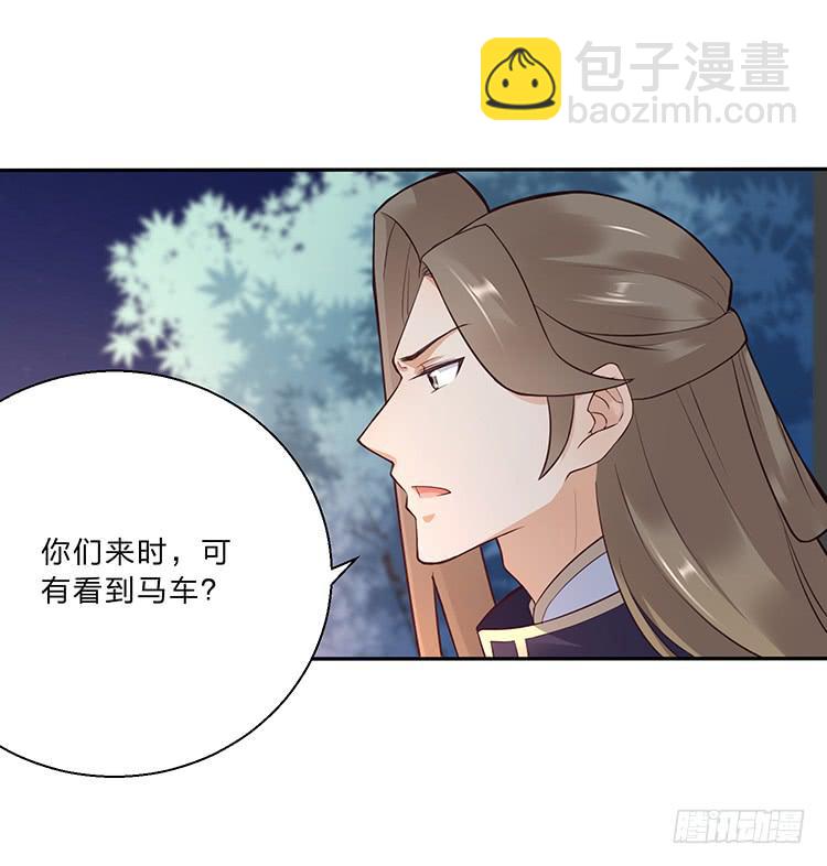 消失的马车(1/2)-第25话