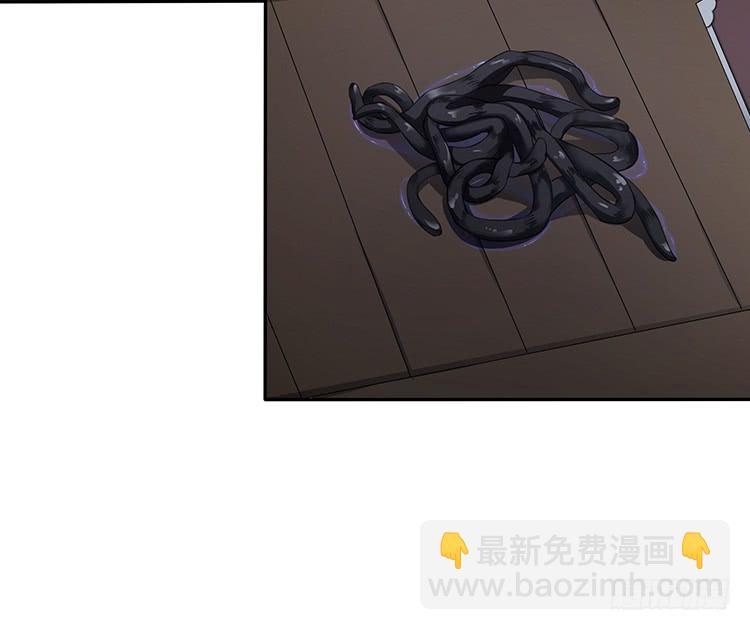 消失的马车(1/2)-第25话