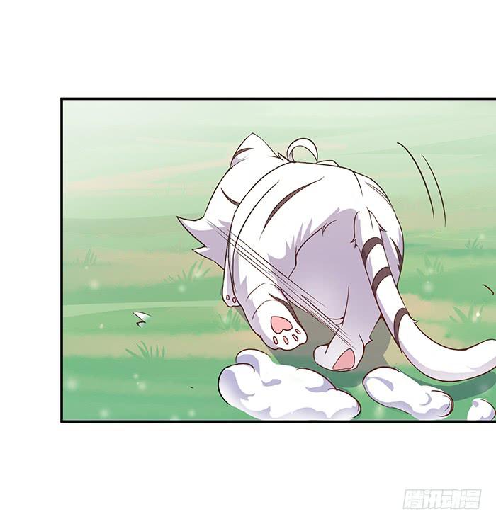 小短腿(1/2)-第5话