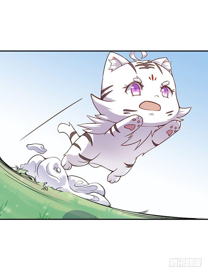 小短腿(1/2)-第5话