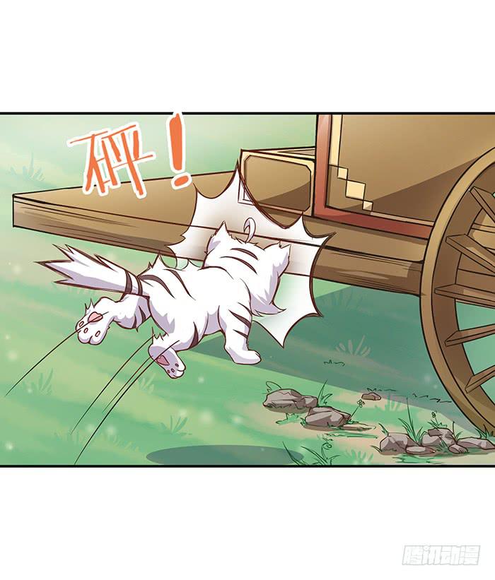 小短腿(1/2)-第5话