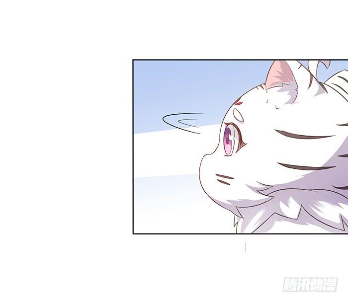 小短腿(1/2)-第5话