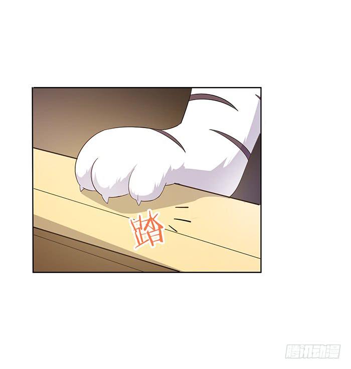 小短腿(1/2)-第5话