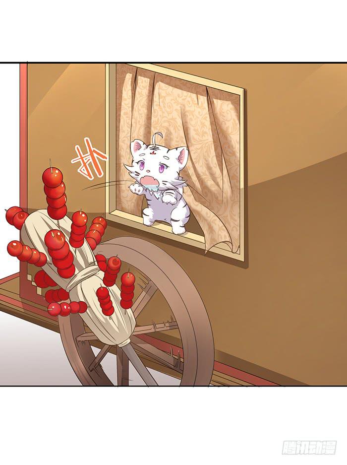 小短腿(1/2)-第5话