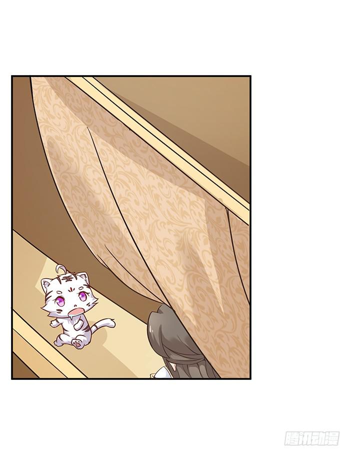 小短腿(1/2)-第5话