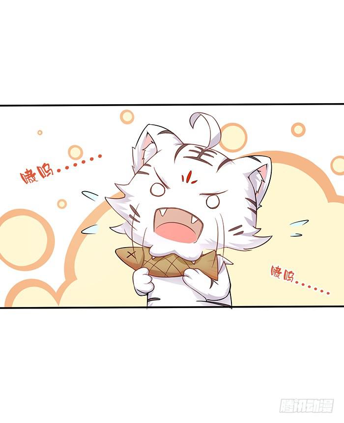 小短腿(1/2)-第5话