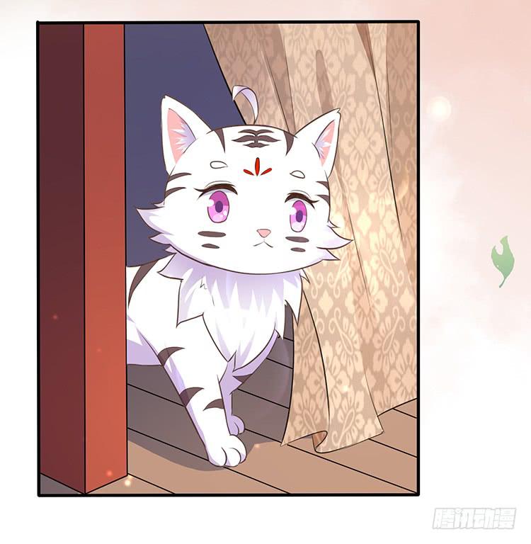 进宫(1/2)-第41话