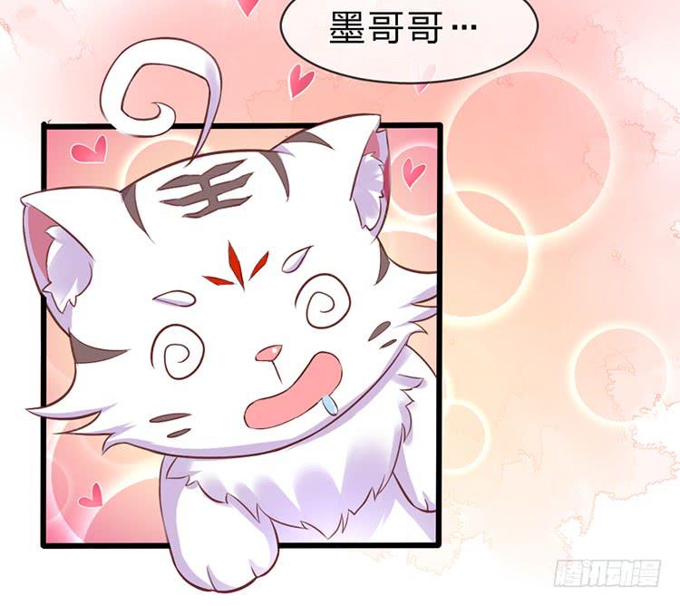 调虎离山(1/2)-第49话