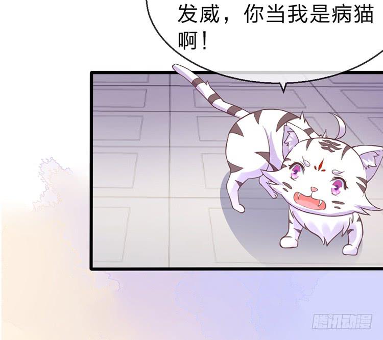 调虎离山(1/2)-第49话