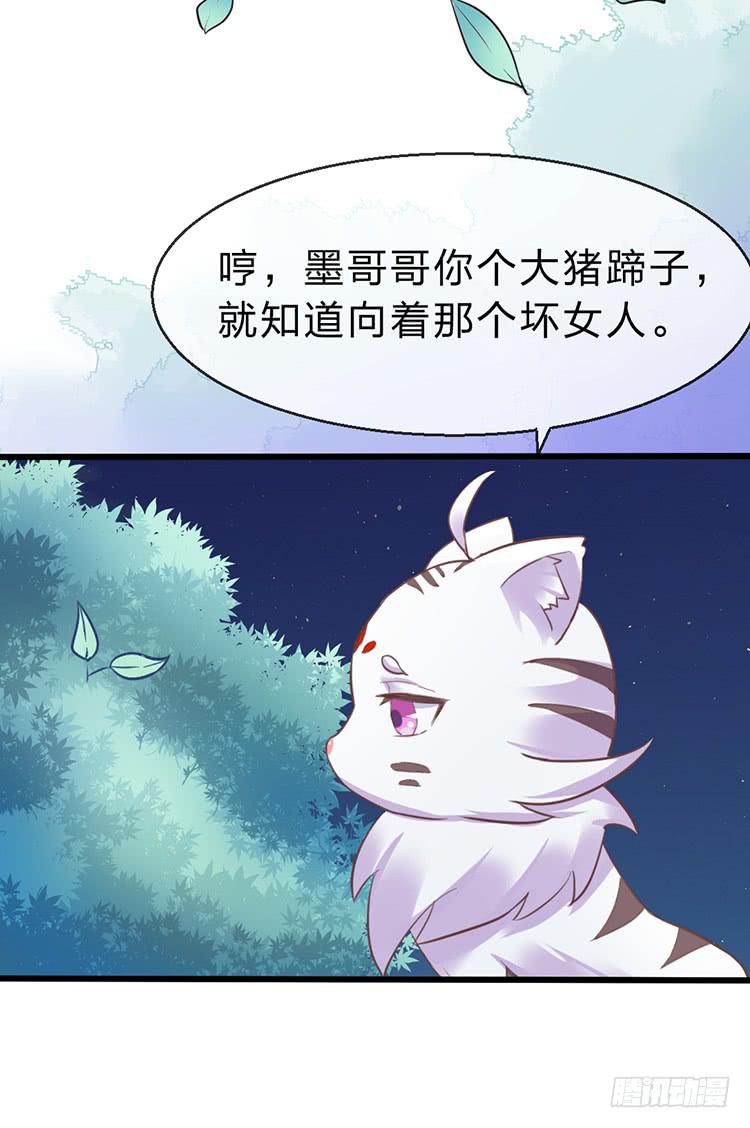 调虎离山(1/2)-第49话