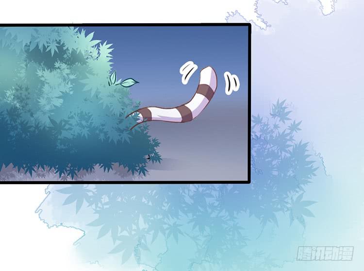 调虎离山(1/2)-第49话