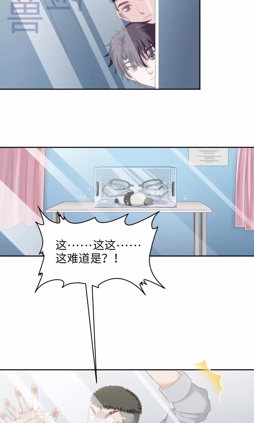 第27话 熊猫馆异闻-第27话