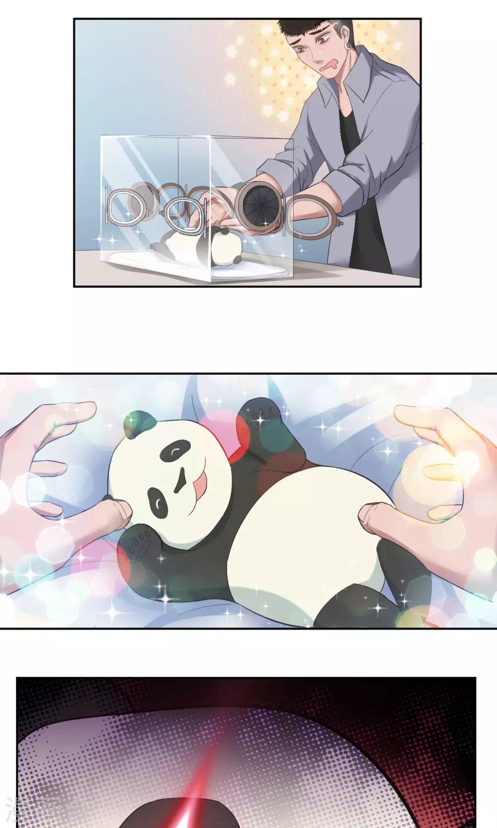 第27话 熊猫馆异闻-第27话