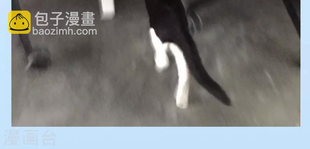 第31话 苏瑾的执念-第31话