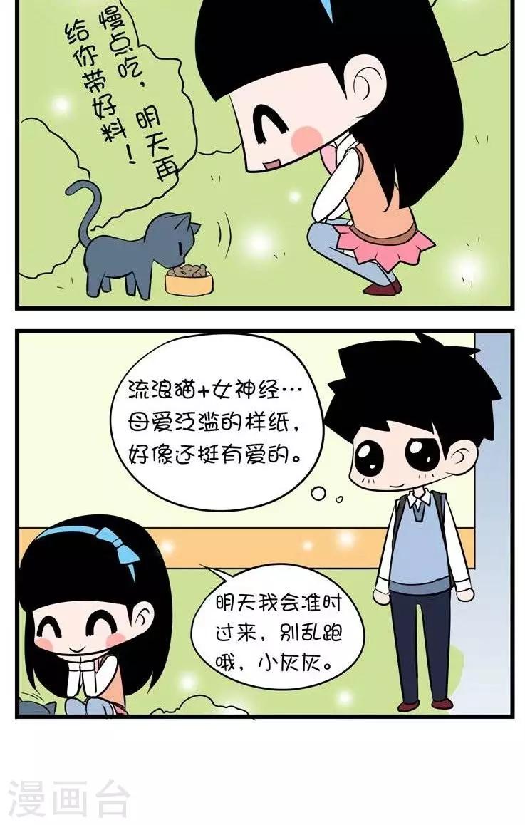 第13话  流浪猫-第13话