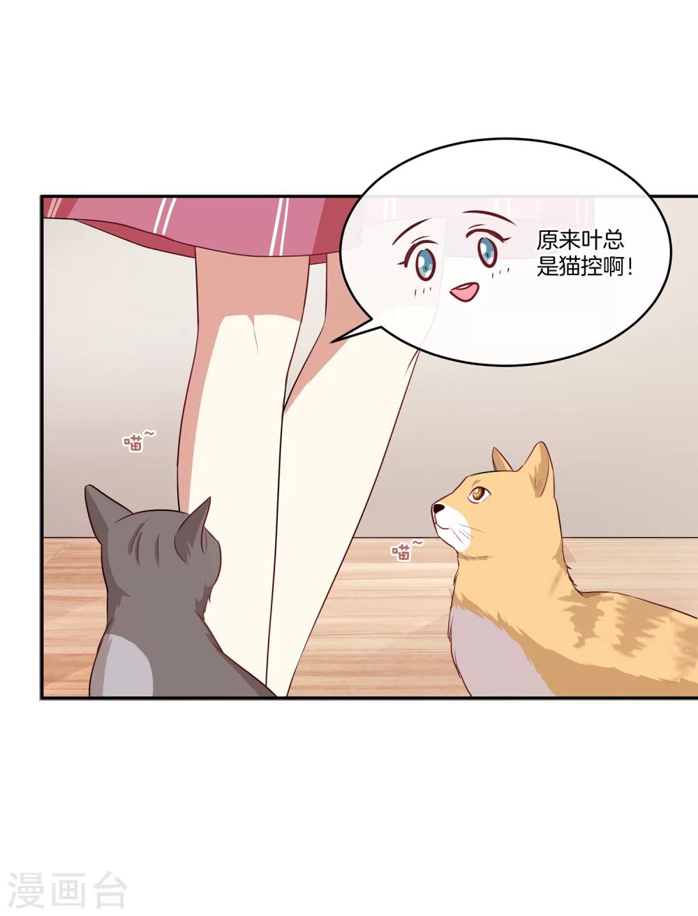 第42话 叶总生气了？-第43话