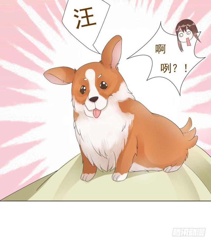 第05话(1/2)-第5话