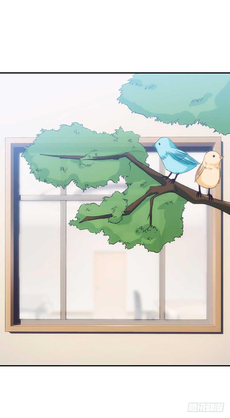 总裁大人，请不要靠这么近！-第37话