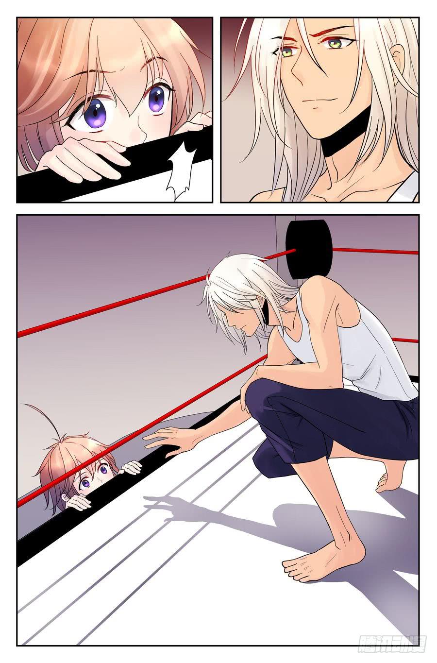 112.擂台初会 -3--第113话