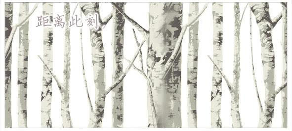 傻笑(1/2)-第47话