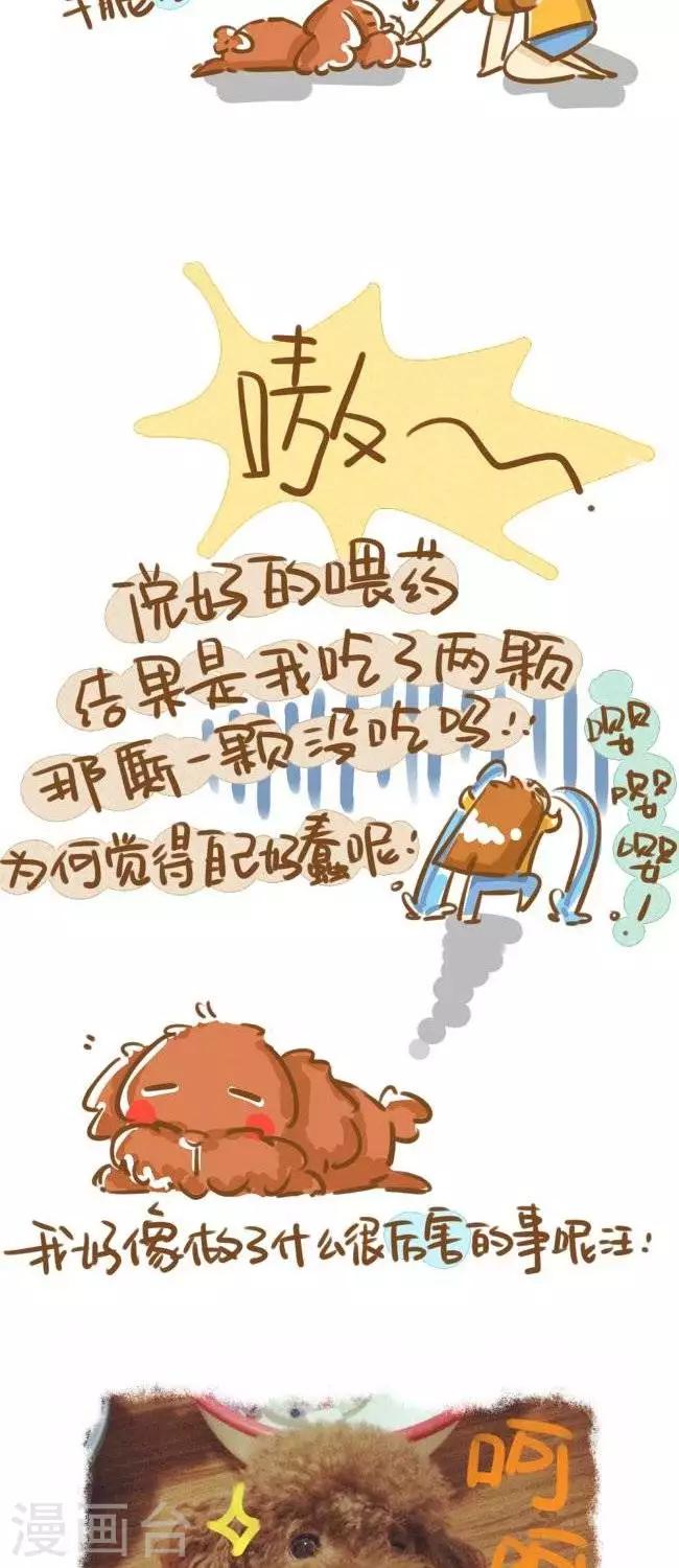 第11话  狗奴日常-第11话