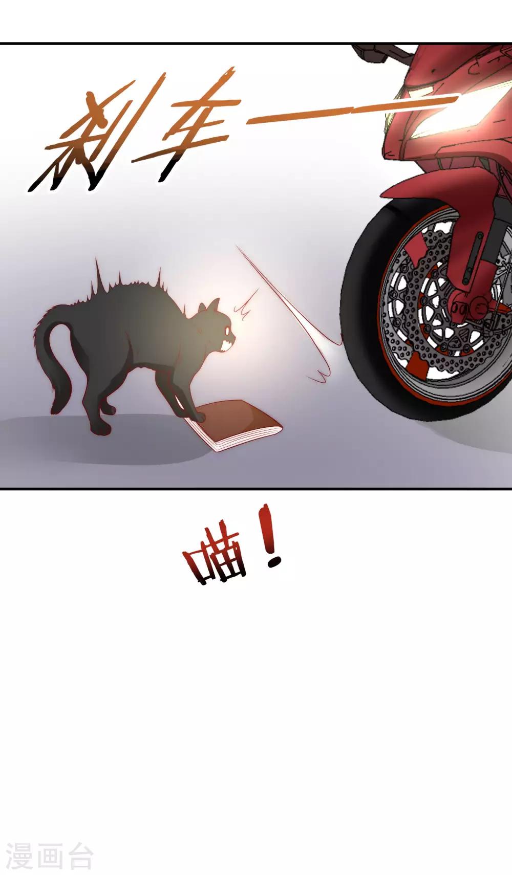 第38话 我的得力干将-第39话