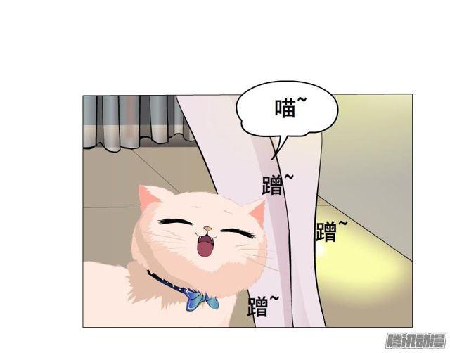 第79集 表白(1/2)-第83话