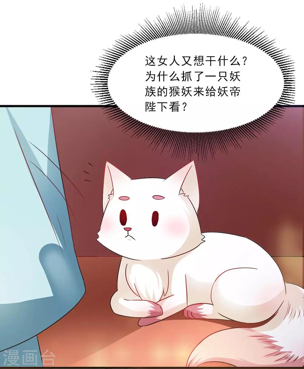 第36话 真真正正的合作-第37话