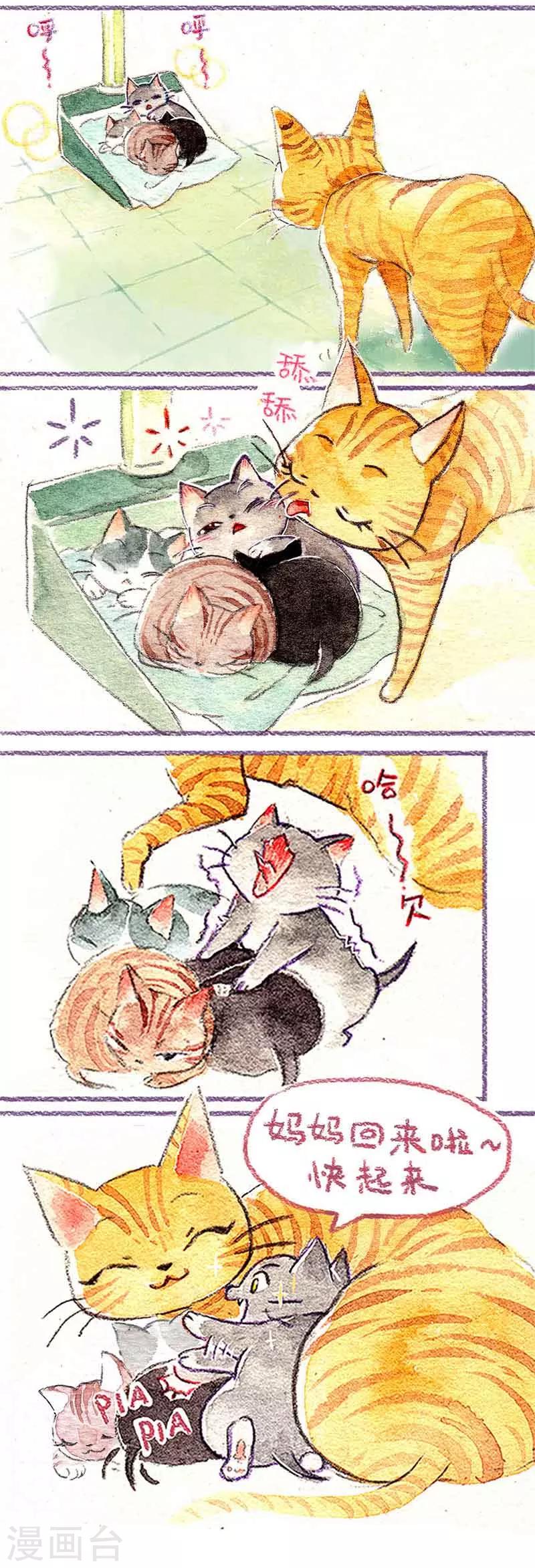 第1话 小猫怕丢-第1话