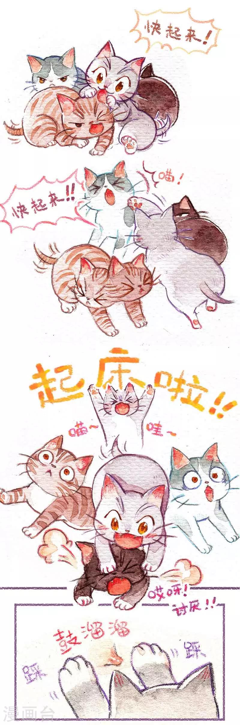 第1话 小猫怕丢-第1话