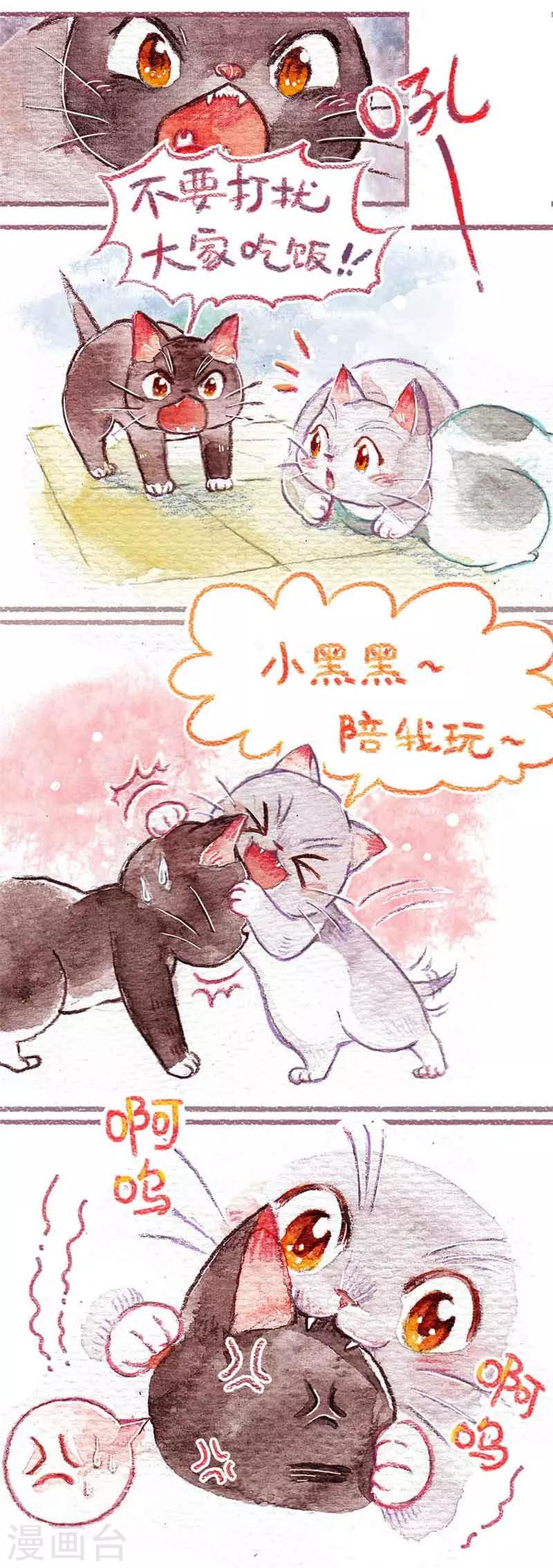 第1话 小猫怕丢-第1话