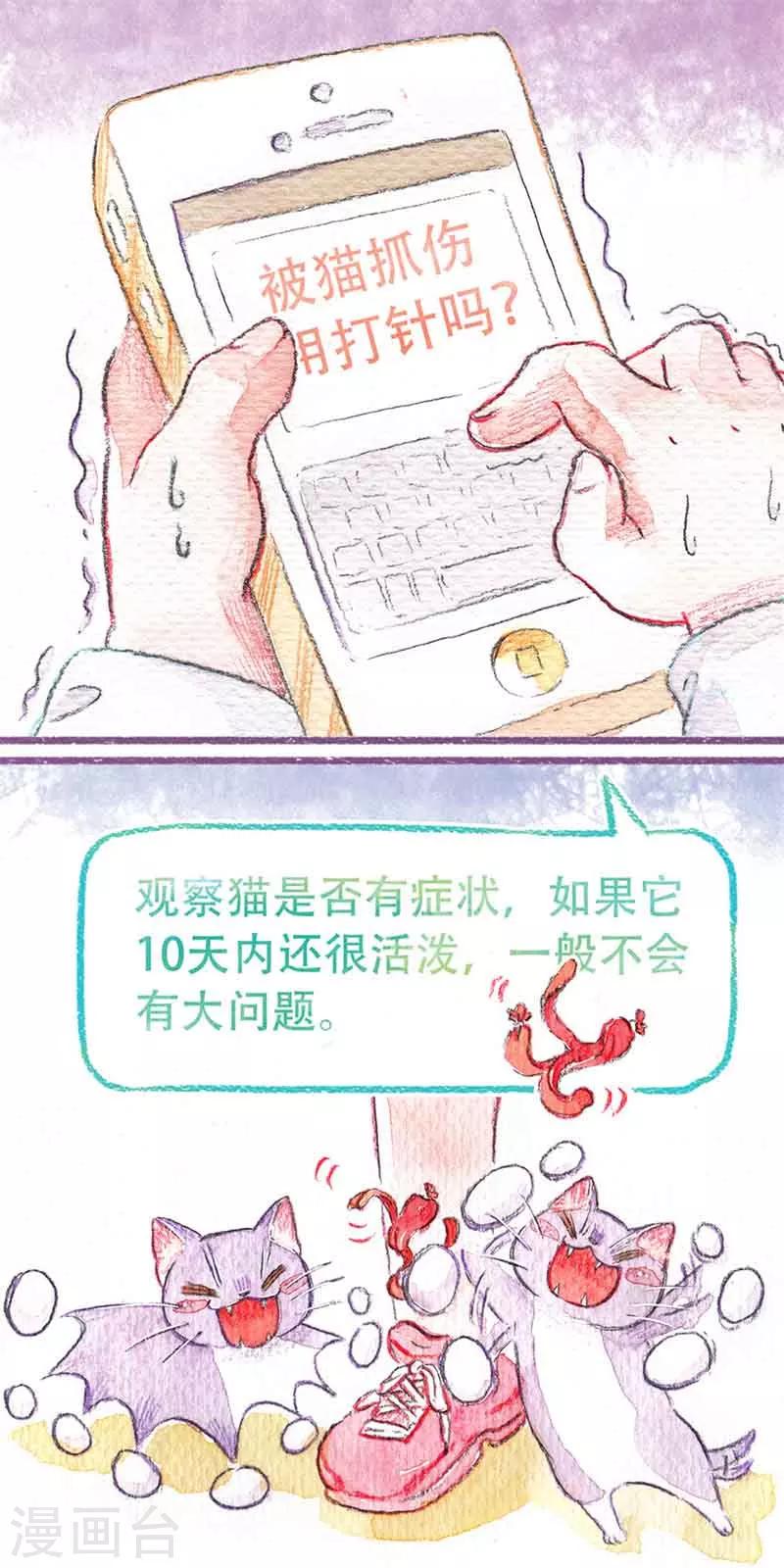 第11话 剪爪爪-第11话