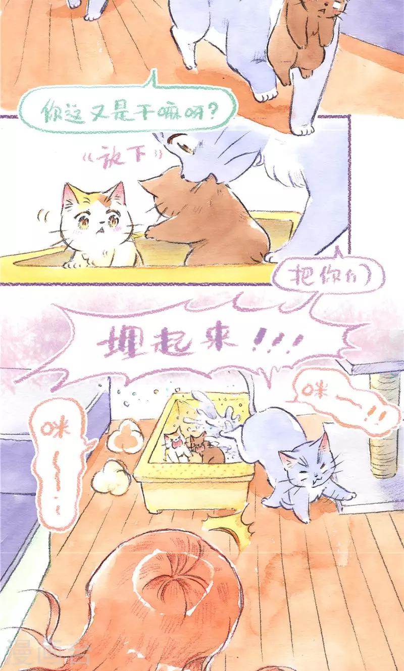 第95话 藏猫猫-第103话
