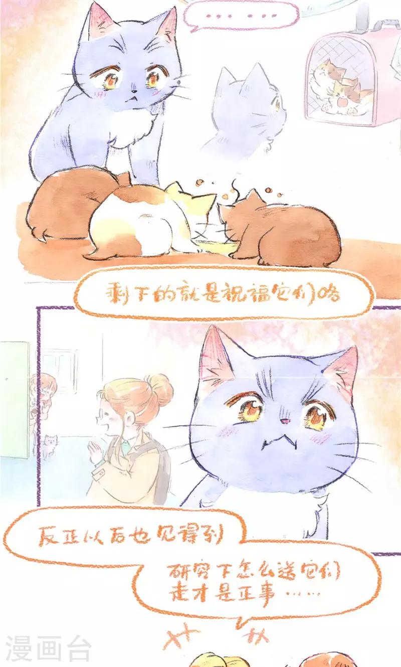 第95话 藏猫猫-第103话