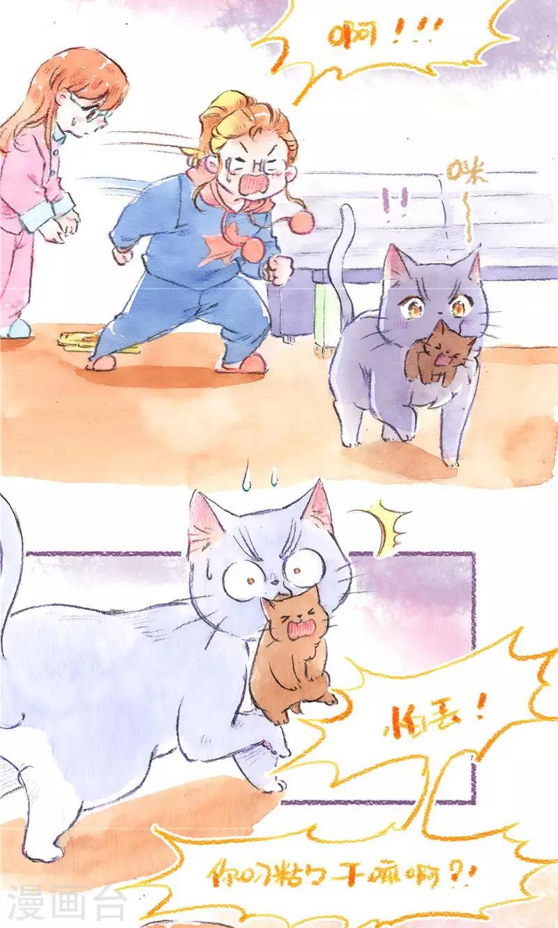 第95话 藏猫猫-第103话