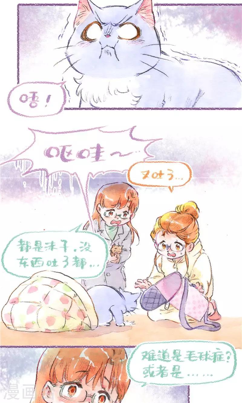 最终话 初雪-第107话