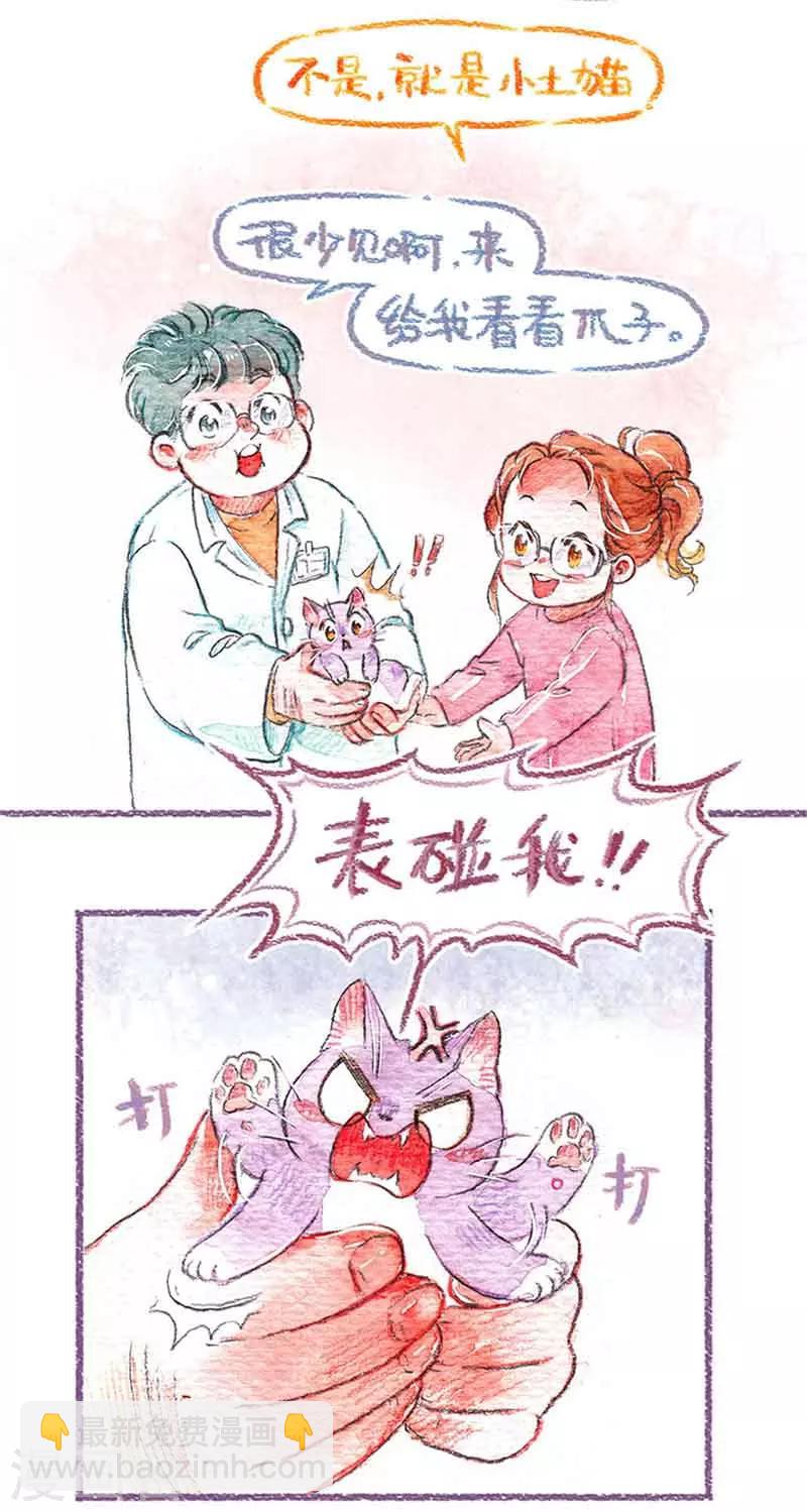 第13话 怕丢生病啦?!(2)-第13话