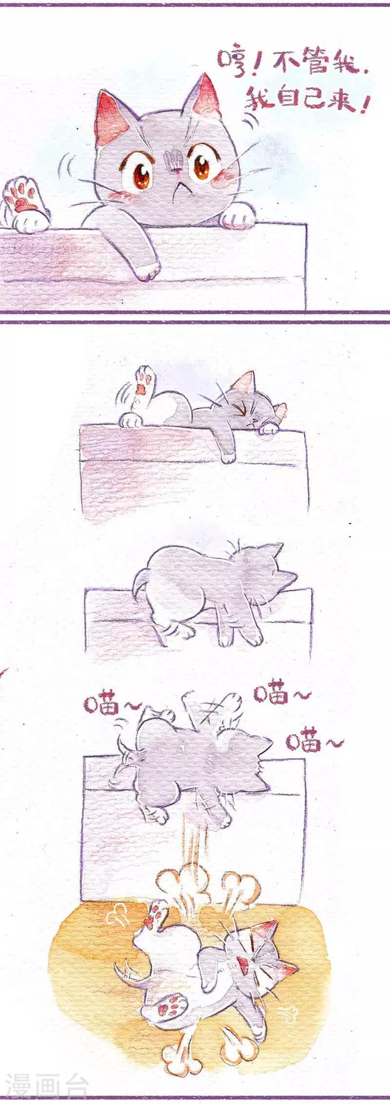 第3话 新家好累-第3话