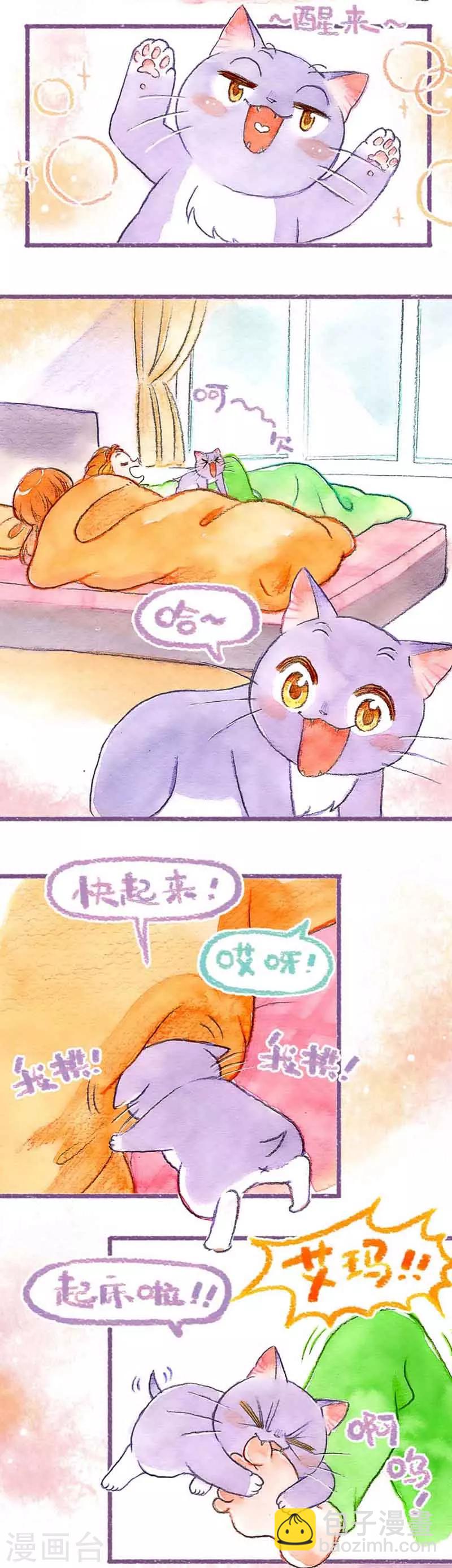 第31话  馋猫怕丢-第31话