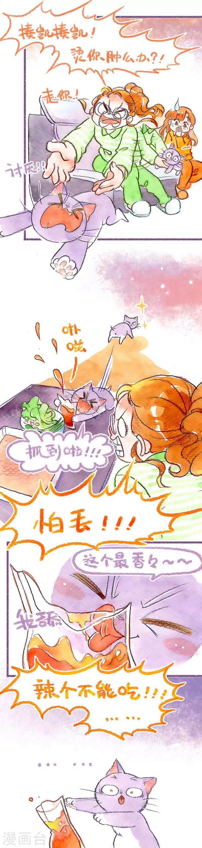 第31话  馋猫怕丢-第31话