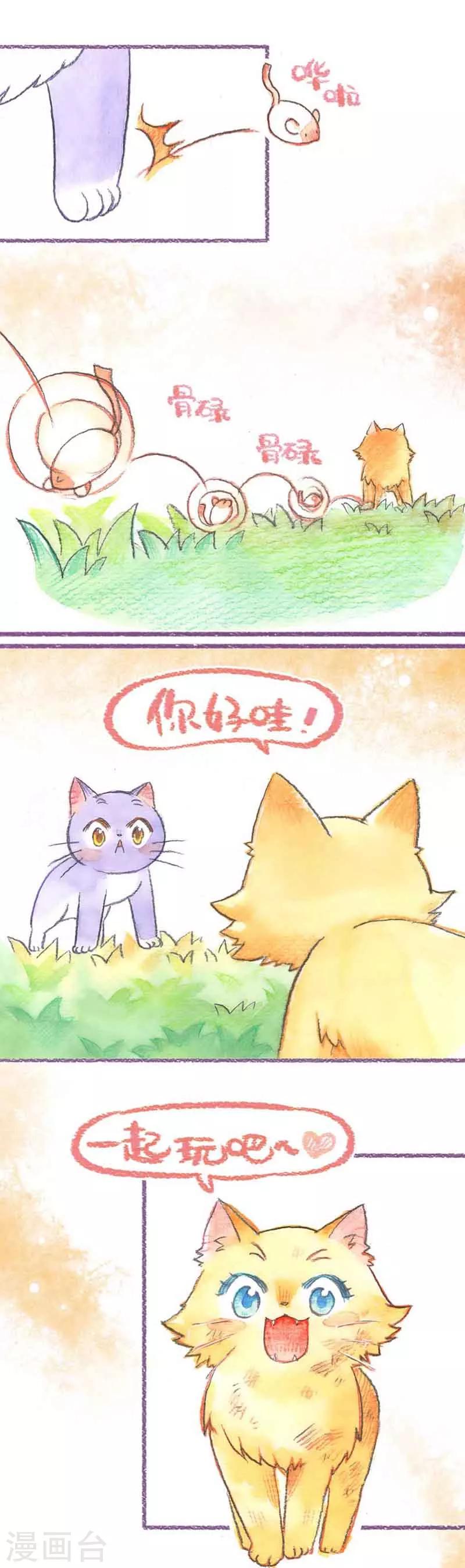 第33话 怕丢的女友-第33话