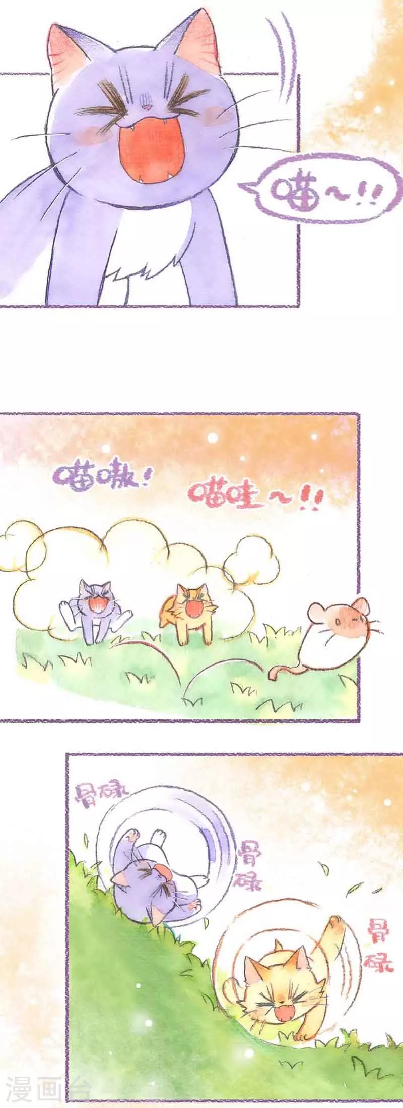 第33话 怕丢的女友-第33话